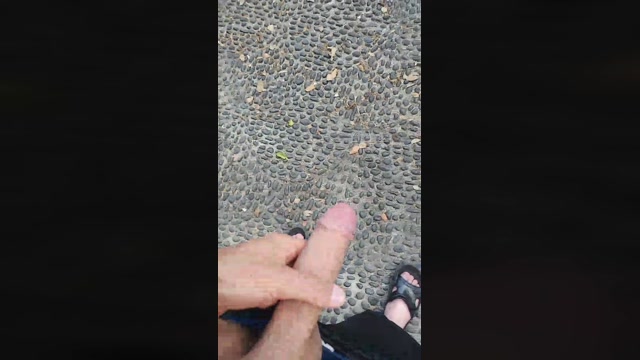 Alcindogomes  25-07-2022